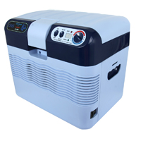 electric car cooler warmer