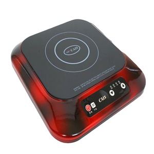 portable electric induction range